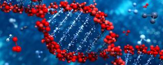 stat_gen genitic engineering 
