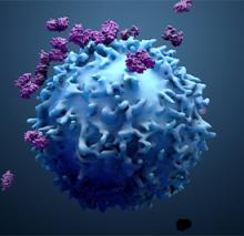 Human Systems Immunology